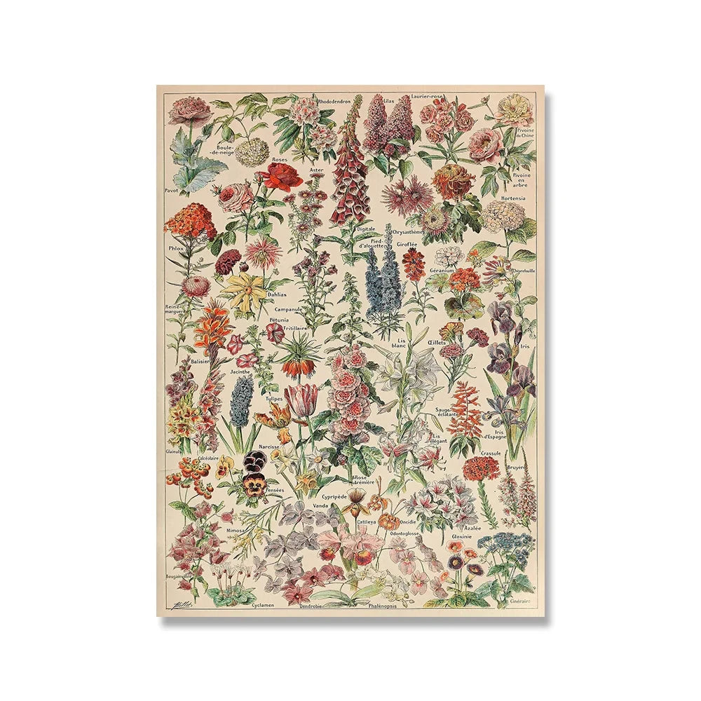 Jo Heritage Flora & Fauna