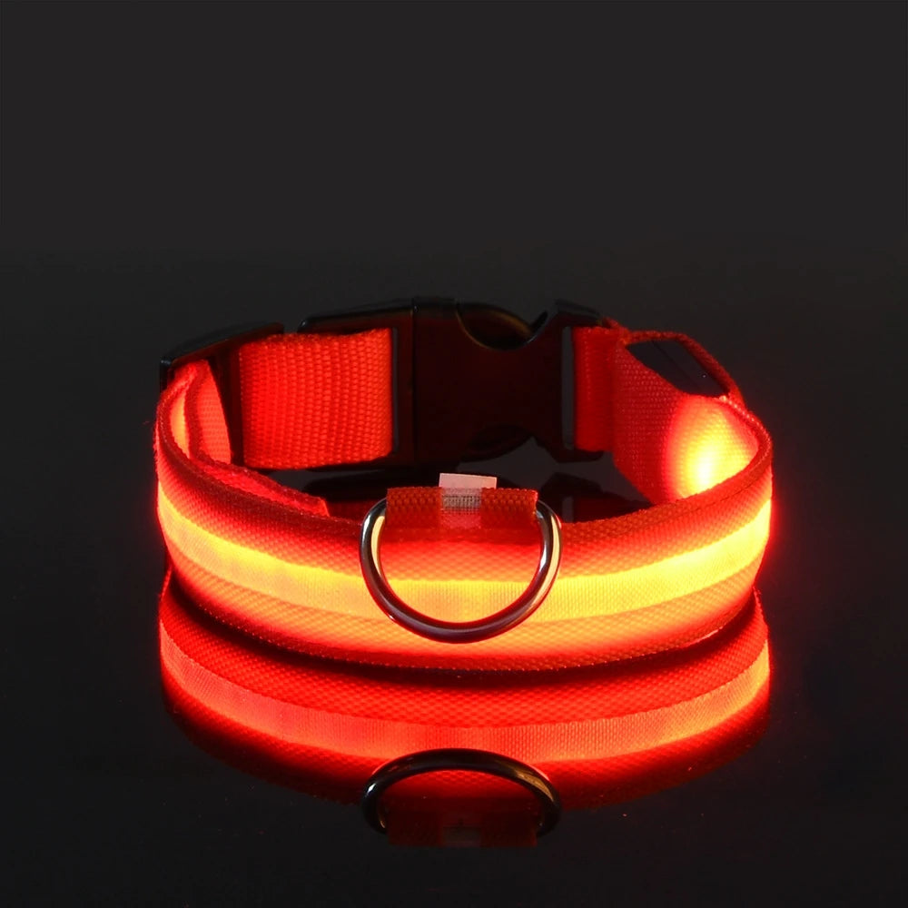 Jo GlowGuard LED Safety Collar