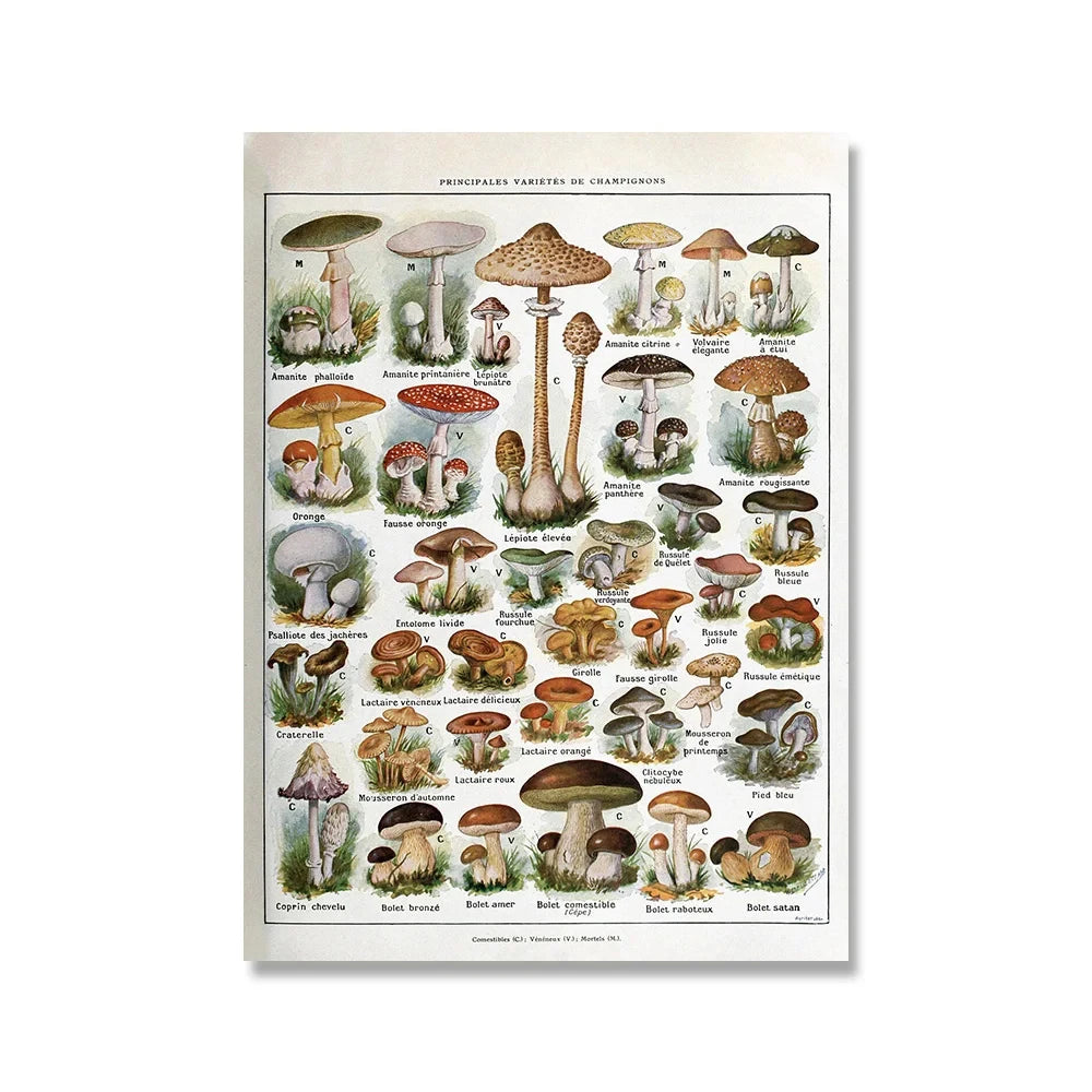 Jo Heritage Flora & Fauna