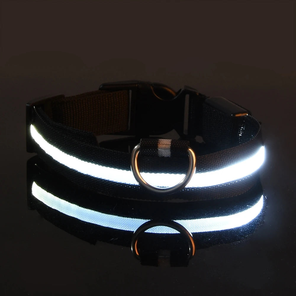 Jo GlowGuard LED Safety Collar