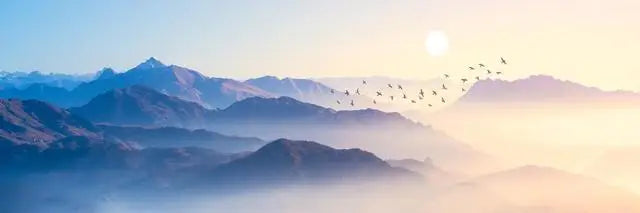 Jo Mountain Mist Landscape Art