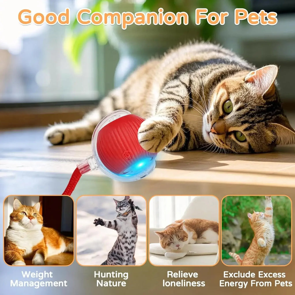 Jo Playful Pet Chase Toy