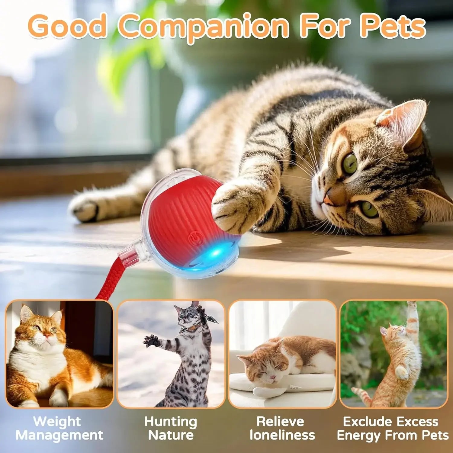 Jo Playful Pet Chase Toy