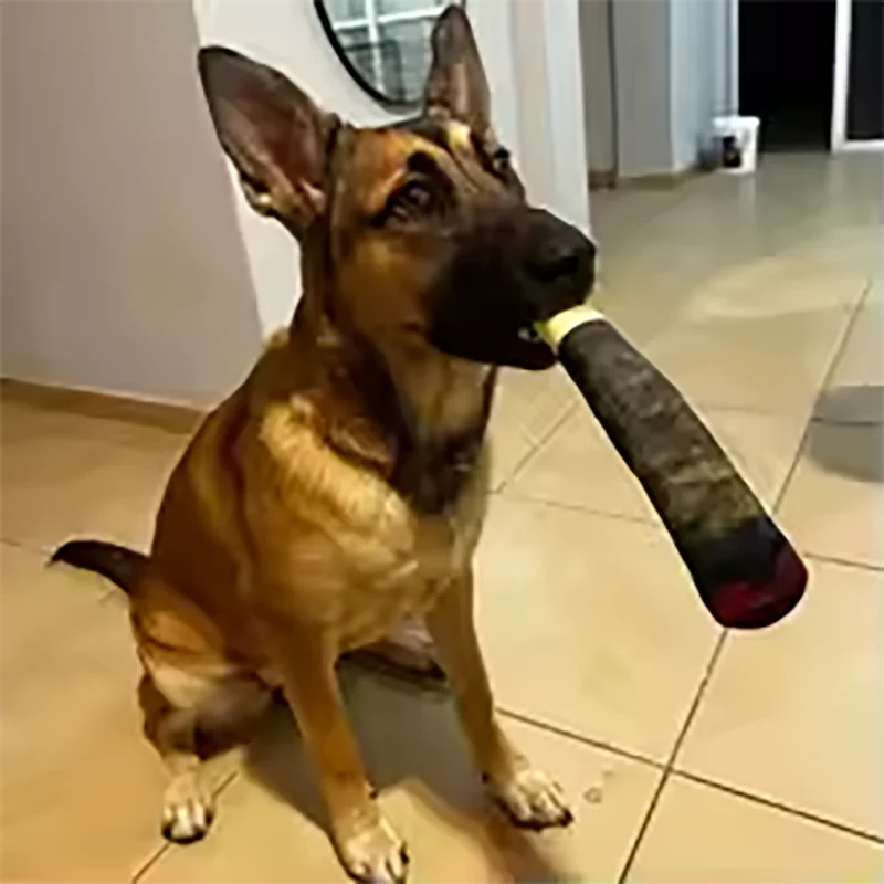 Jo "Cigar" Style Interactive Squeaky Toy