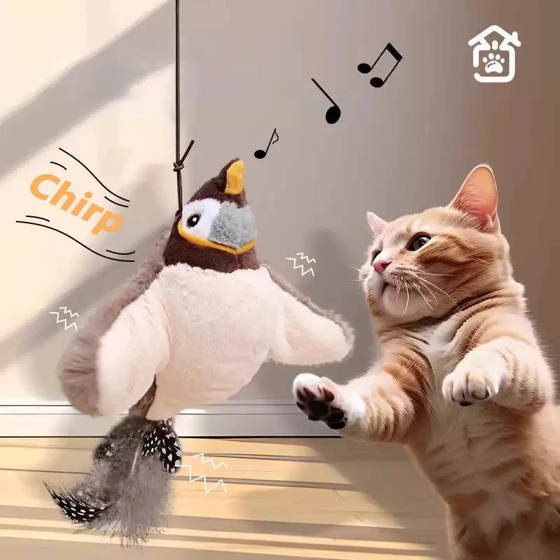 Jo Playful Pet Chase Toy