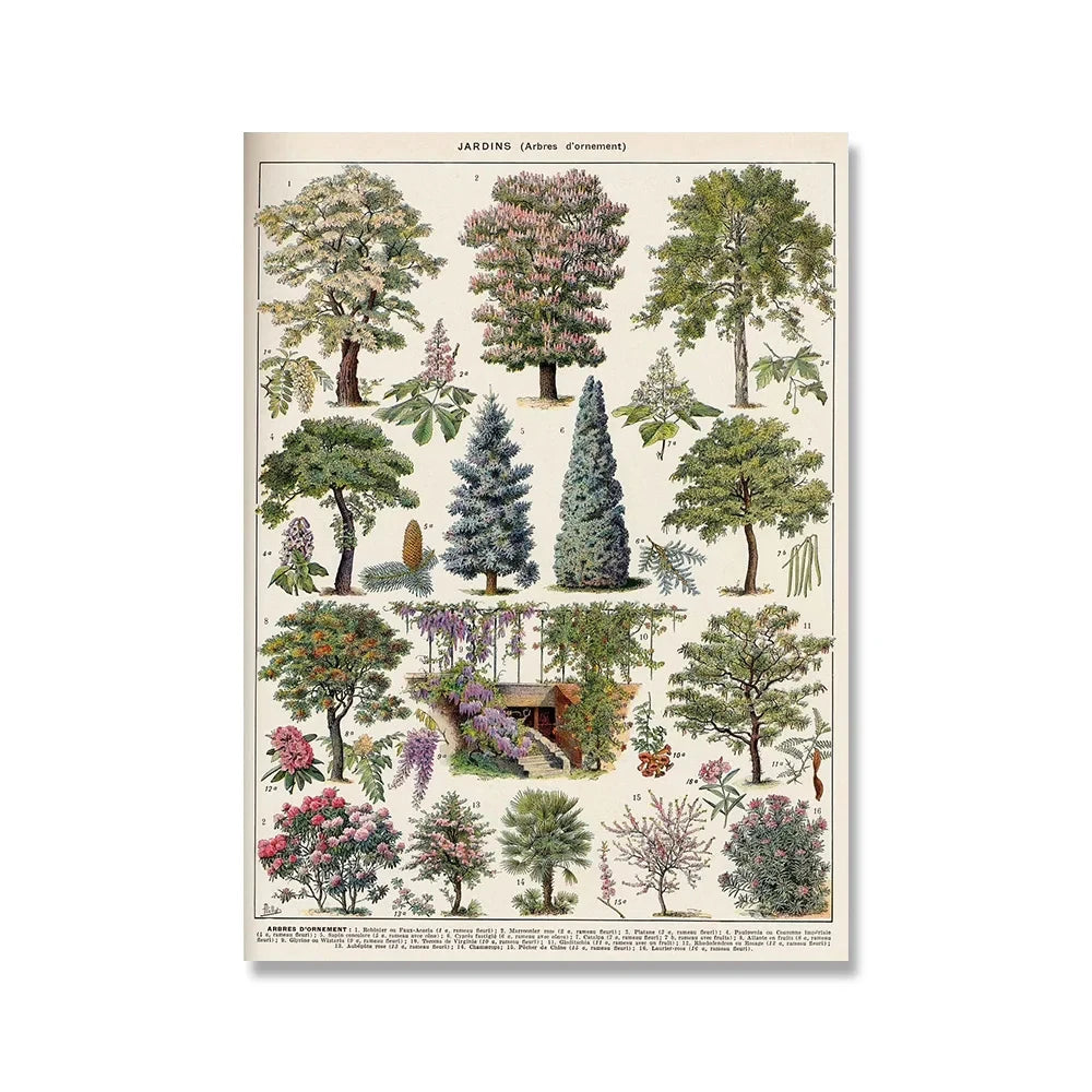 Jo Heritage Flora & Fauna