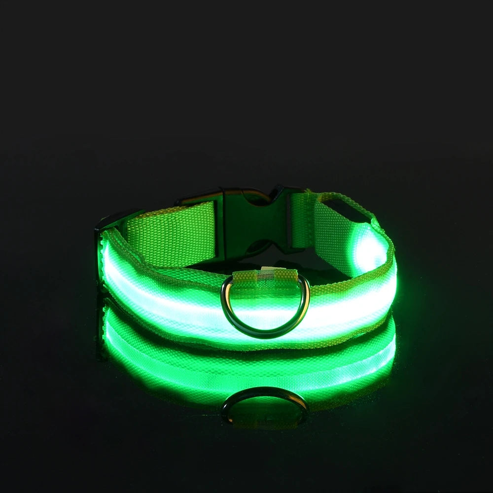 Jo GlowGuard LED Safety Collar