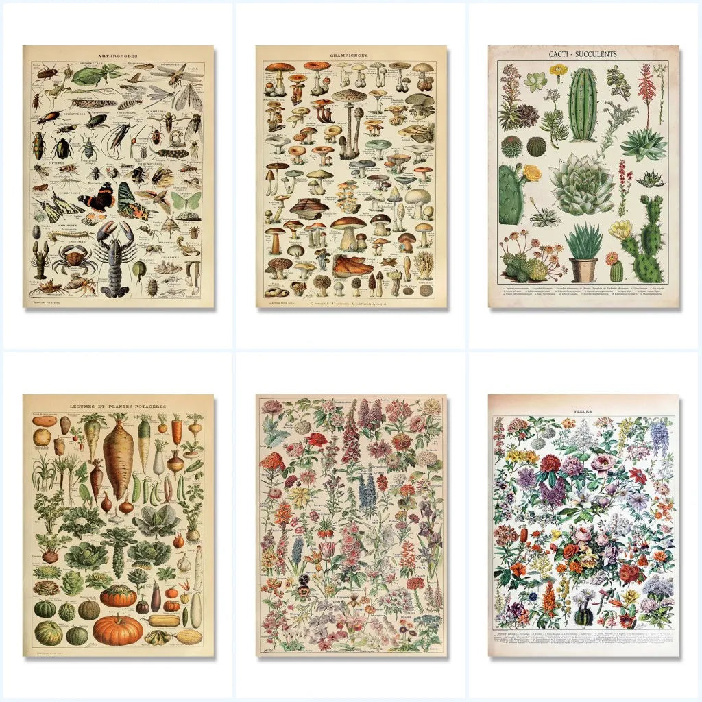 Jo Heritage Flora & Fauna