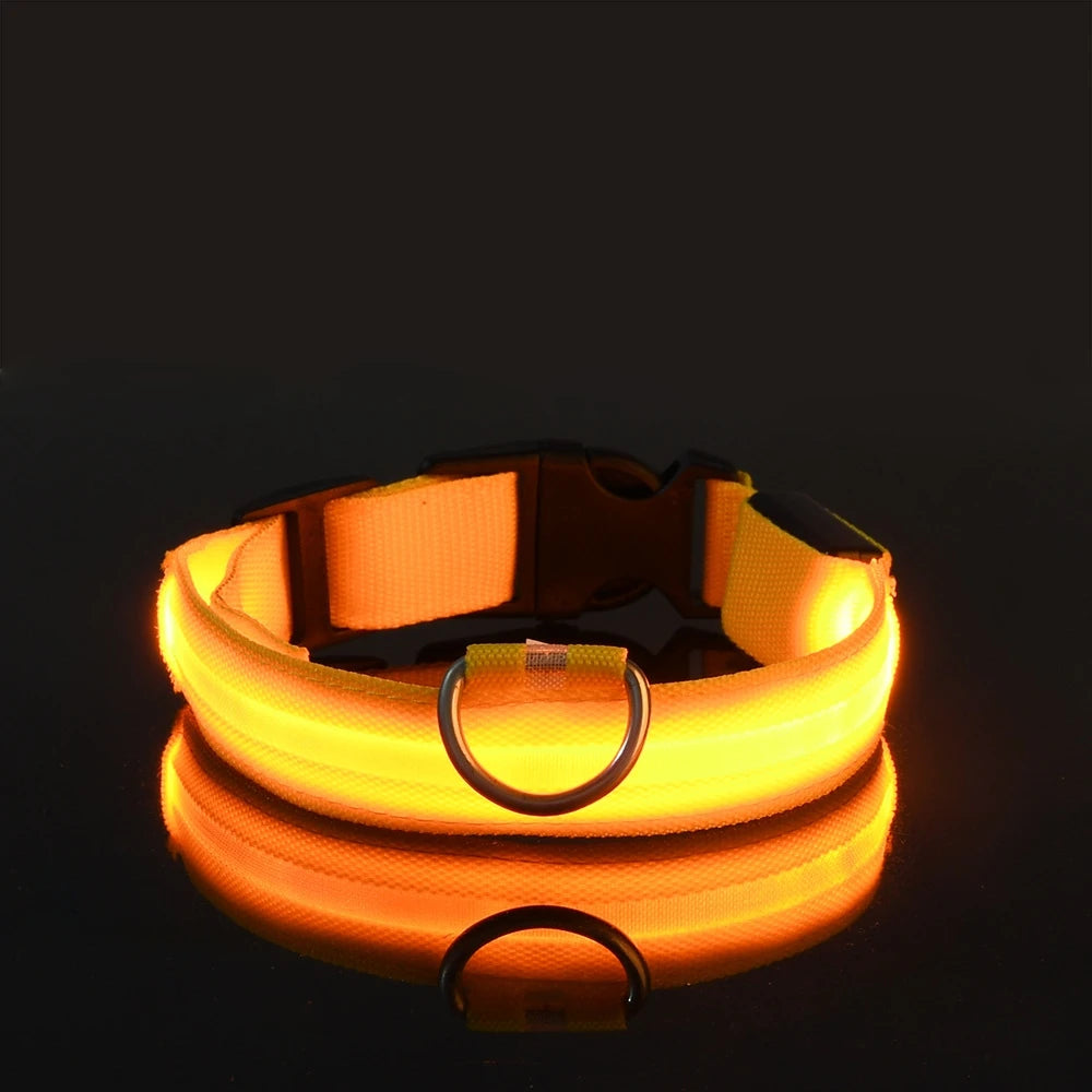 Jo GlowGuard LED Safety Collar