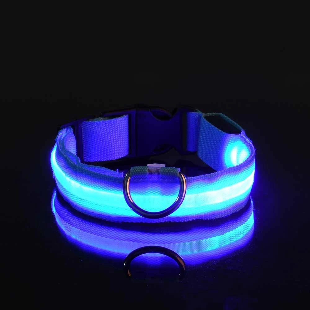 Jo GlowGuard LED Safety Collar