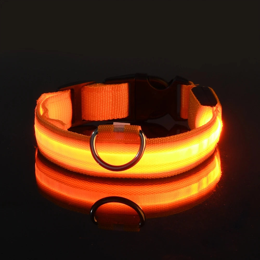 Jo GlowGuard LED Safety Collar