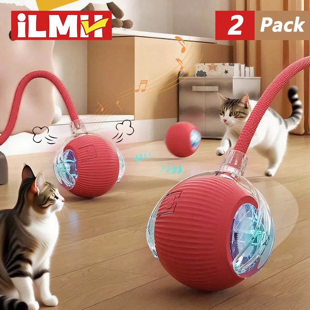Jo Playful Pet Chase Toy