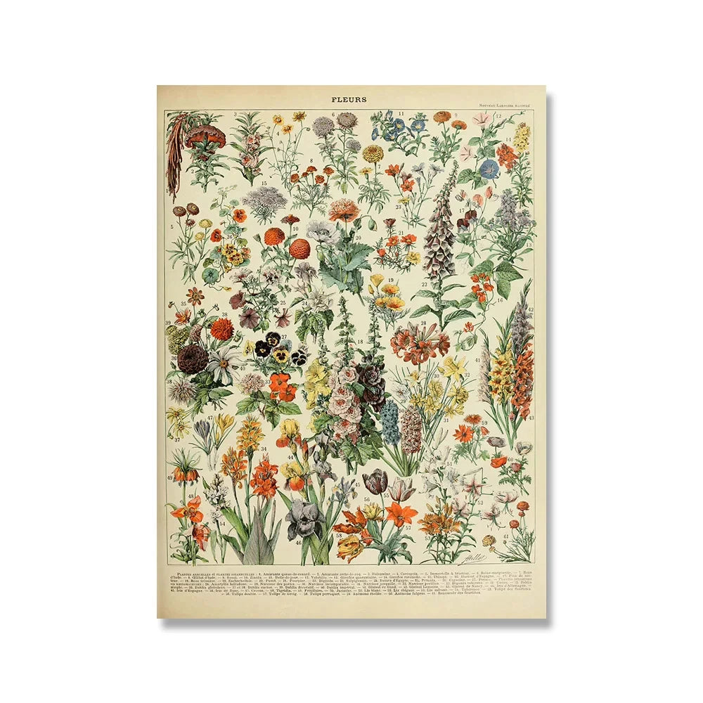 Jo Heritage Flora & Fauna
