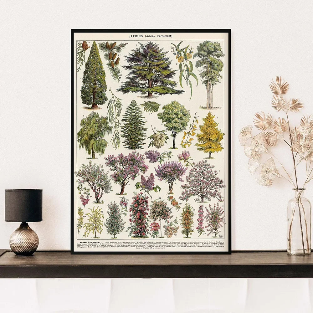 Jo Heritage Flora & Fauna