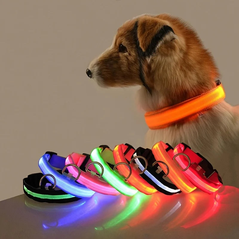 Jo GlowGuard LED Safety Collar