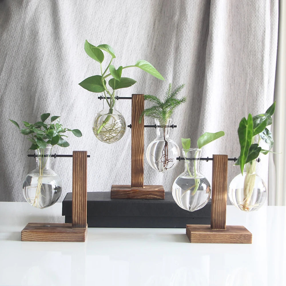Jo Minimalist Glass Bulb Planter