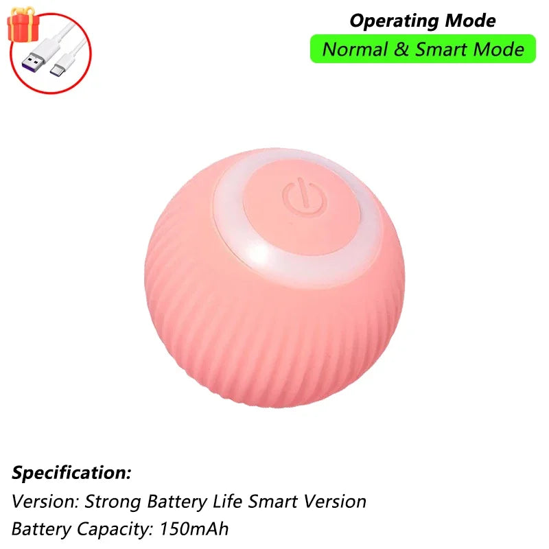 Jo Playful Pet Chase Toy