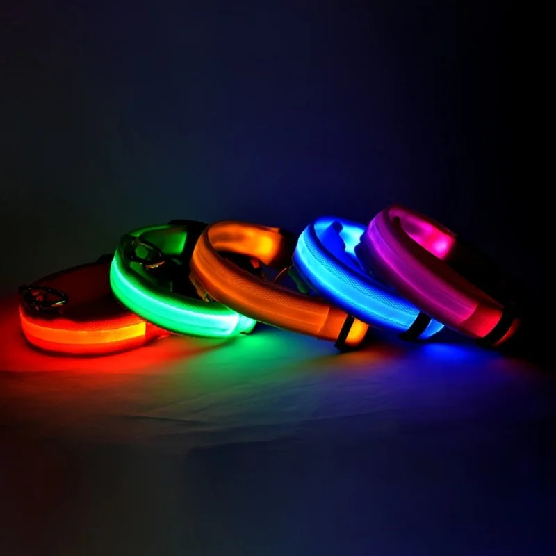 Jo GlowGuard LED Safety Collar