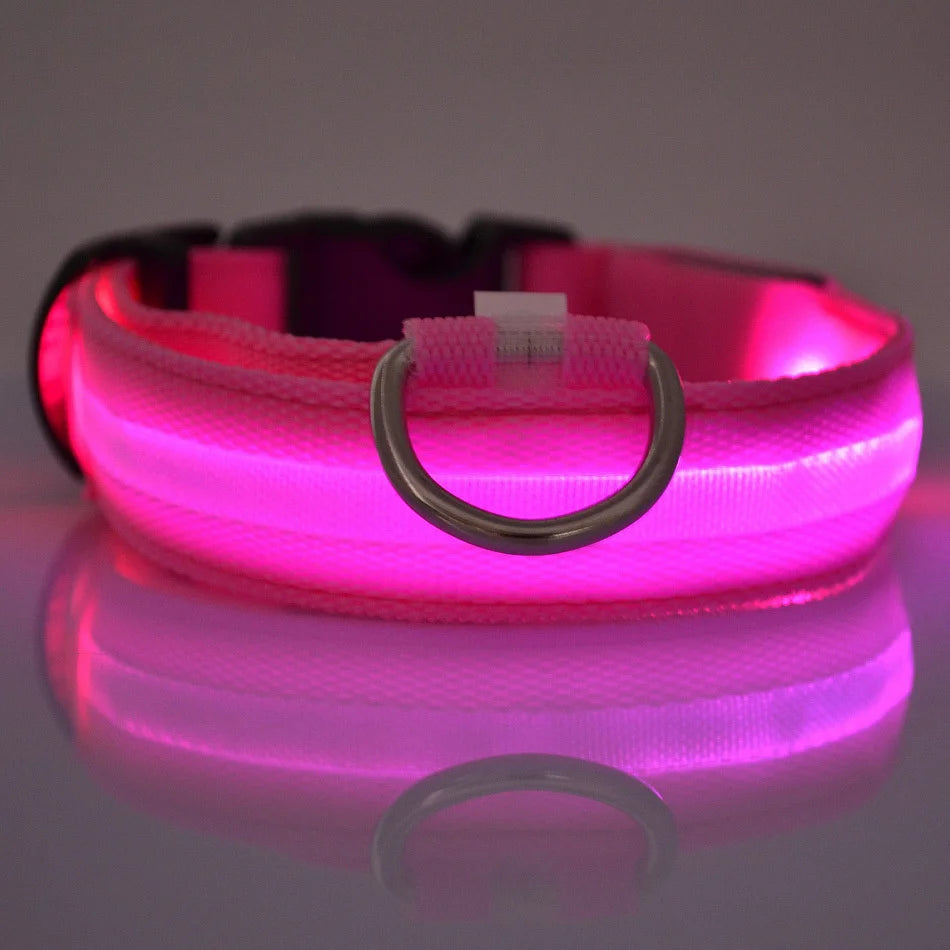 Jo GlowGuard LED Safety Collar