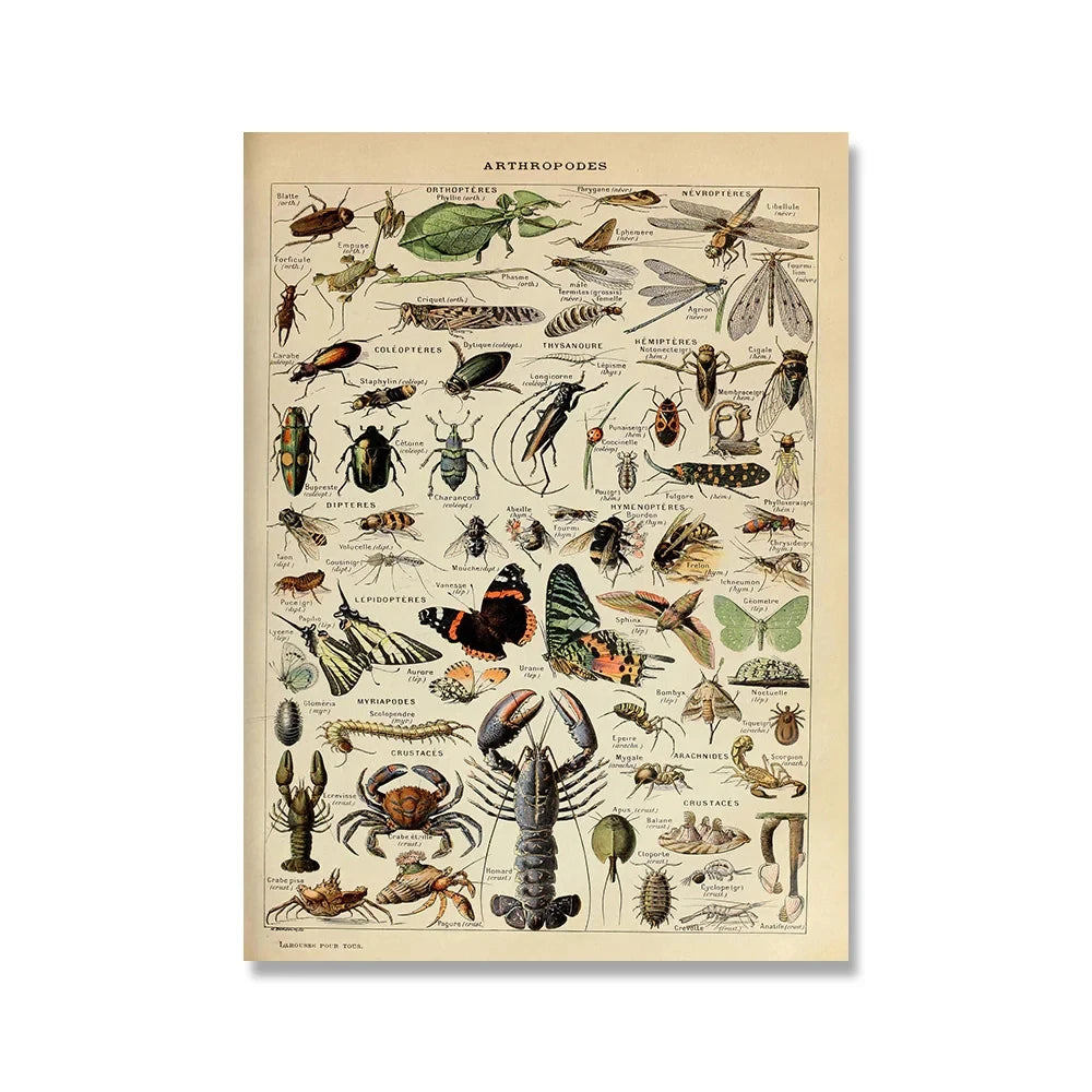 Jo Heritage Flora & Fauna