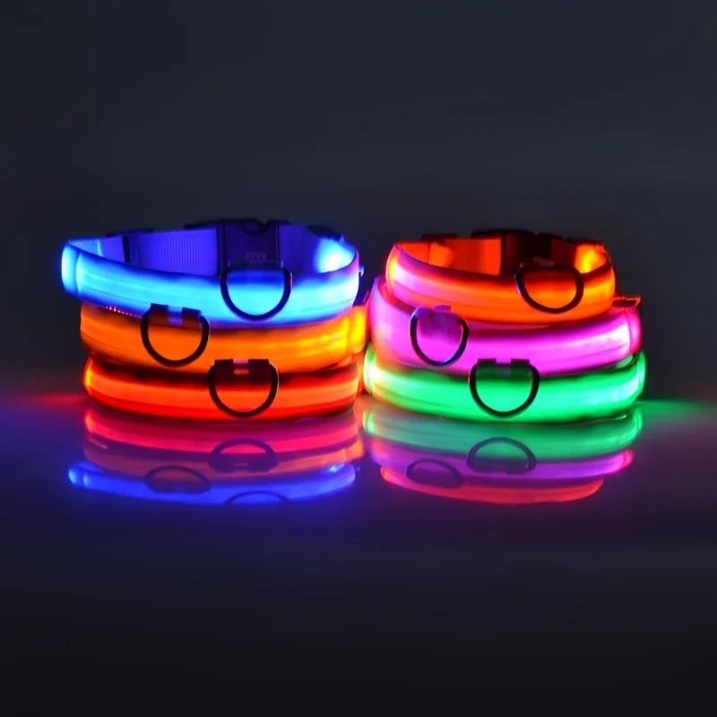 Jo GlowGuard LED Safety Collar
