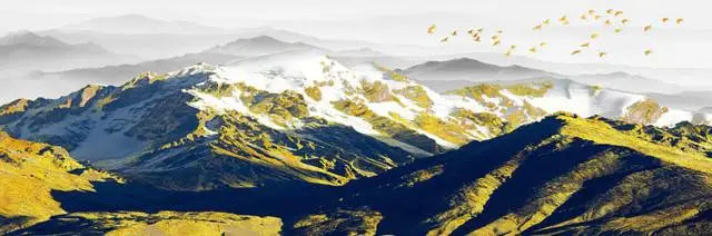 Jo Mountain Mist Landscape Art