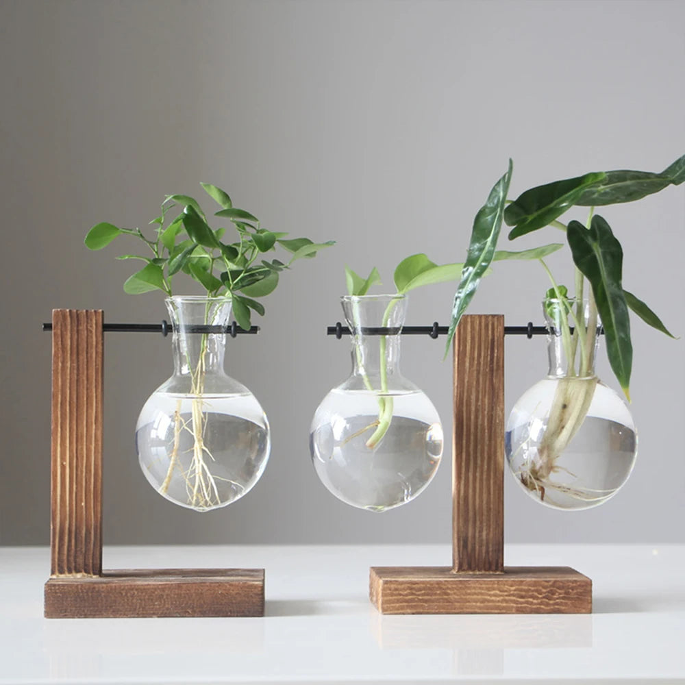 Jo Minimalist Glass Bulb Planter