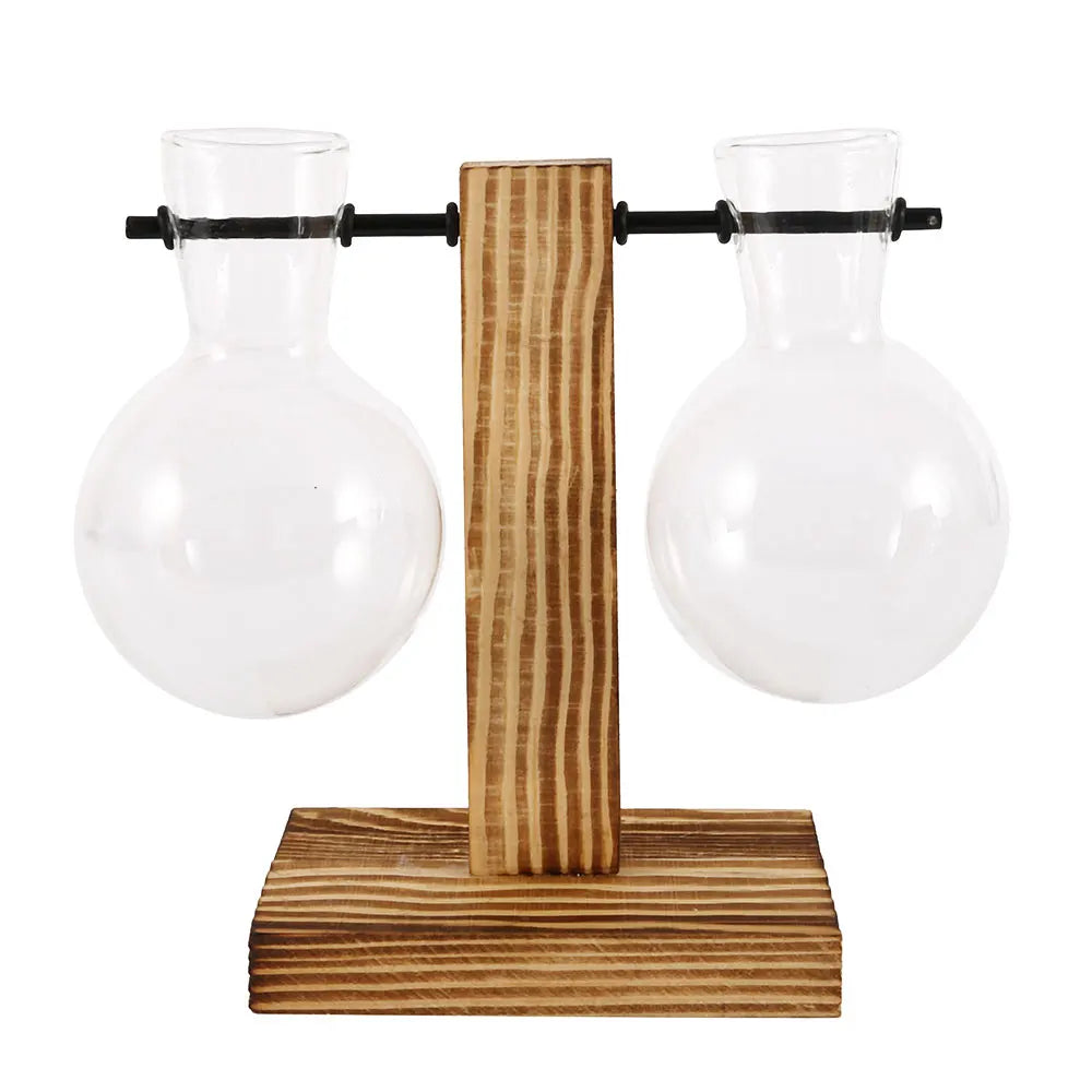 Jo Minimalist Glass Bulb Planter