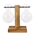 Jo Minimalist Glass Bulb Planter