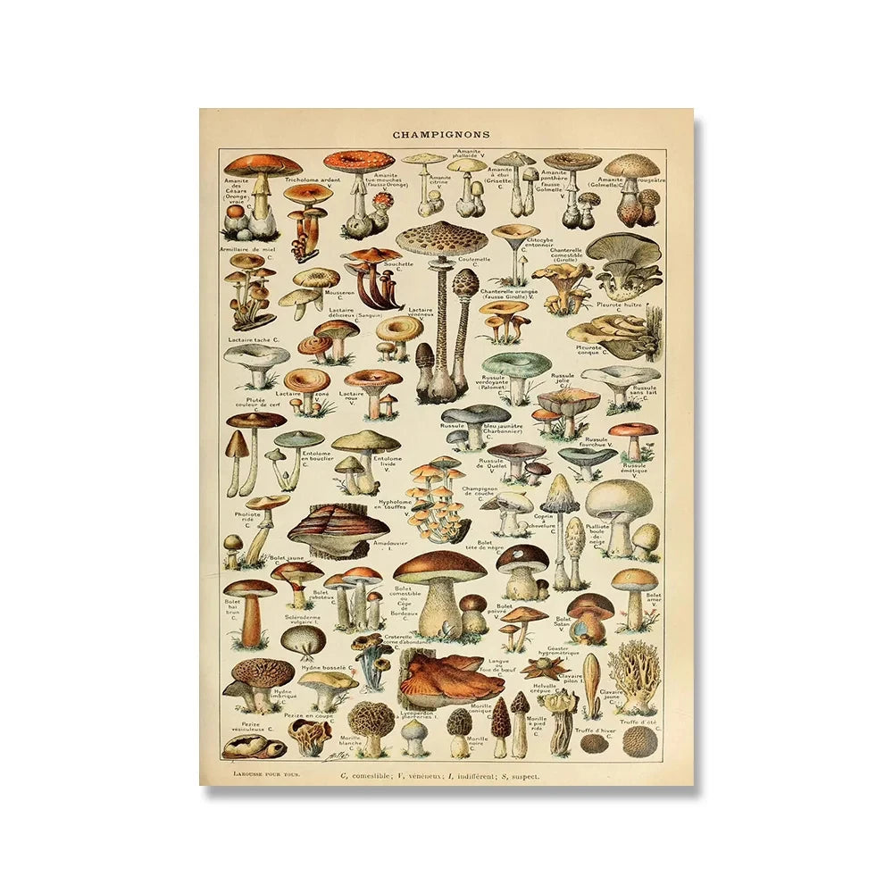 Jo Heritage Flora & Fauna
