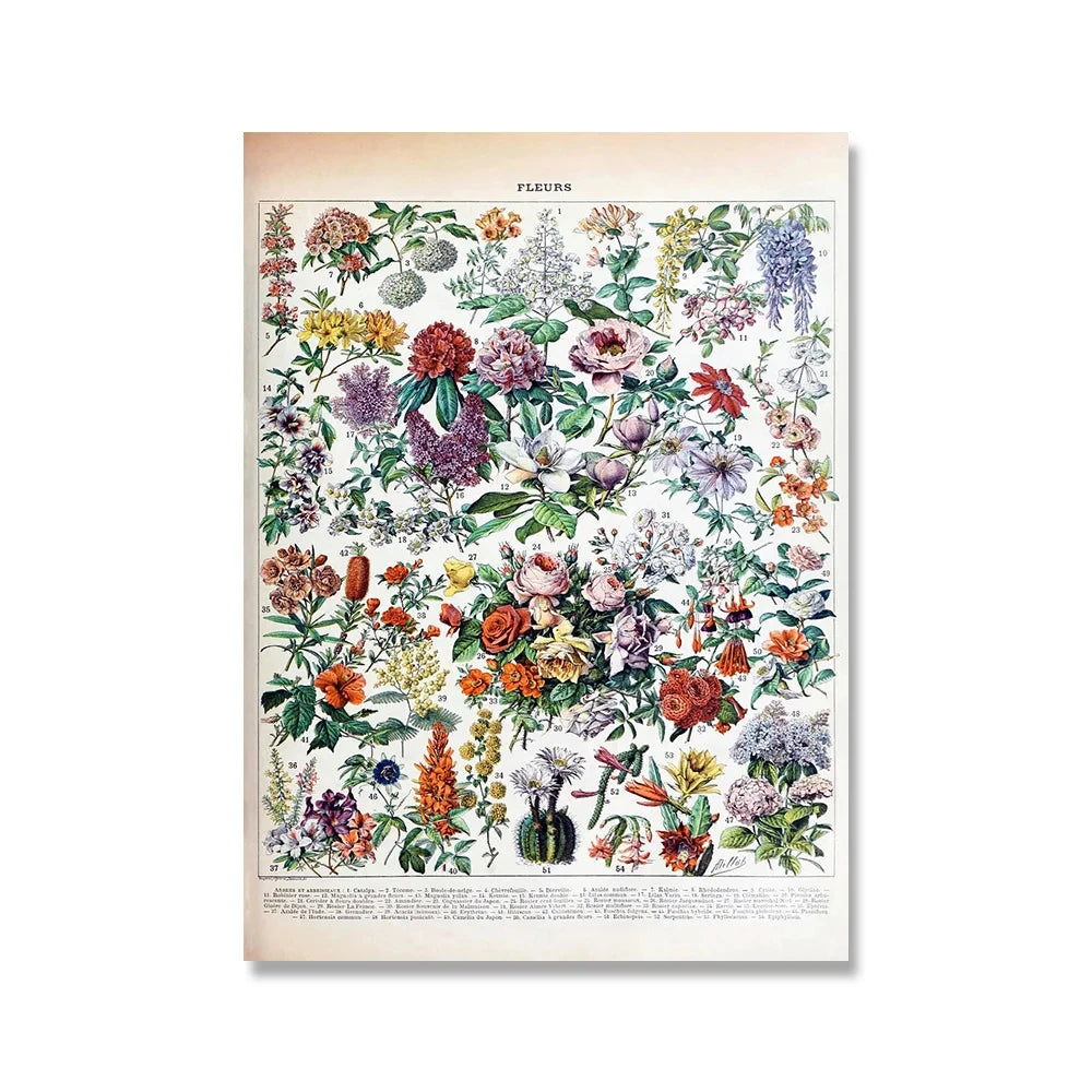 Jo Heritage Flora & Fauna
