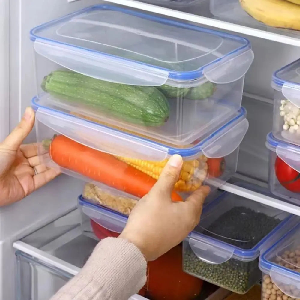 Refrigerator Preservation Box, Double-Layer, Large Capacity, Sealed Box, Vegetable and Fruit, Food Grade, Drain