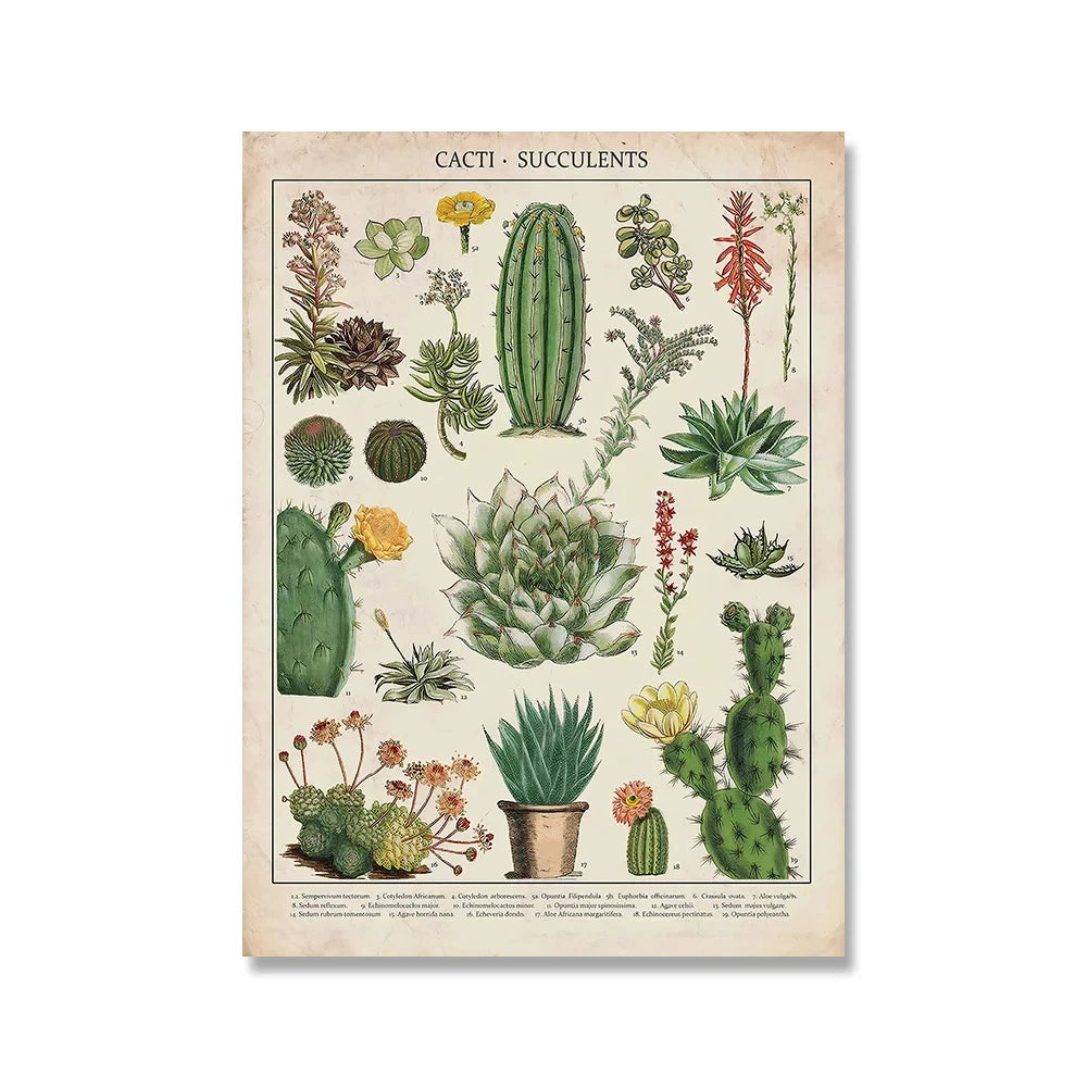 Jo Heritage Flora & Fauna