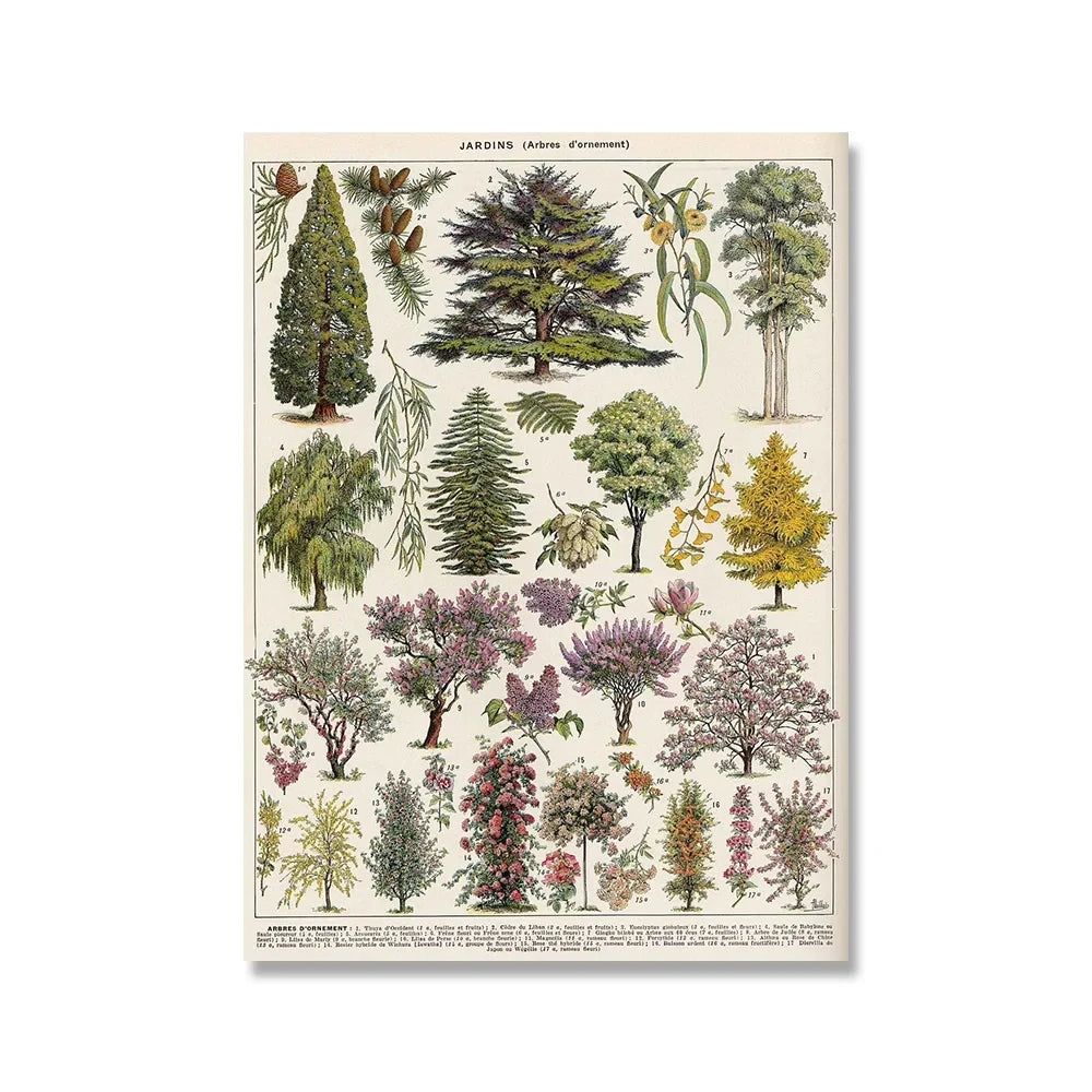 Jo Heritage Flora & Fauna
