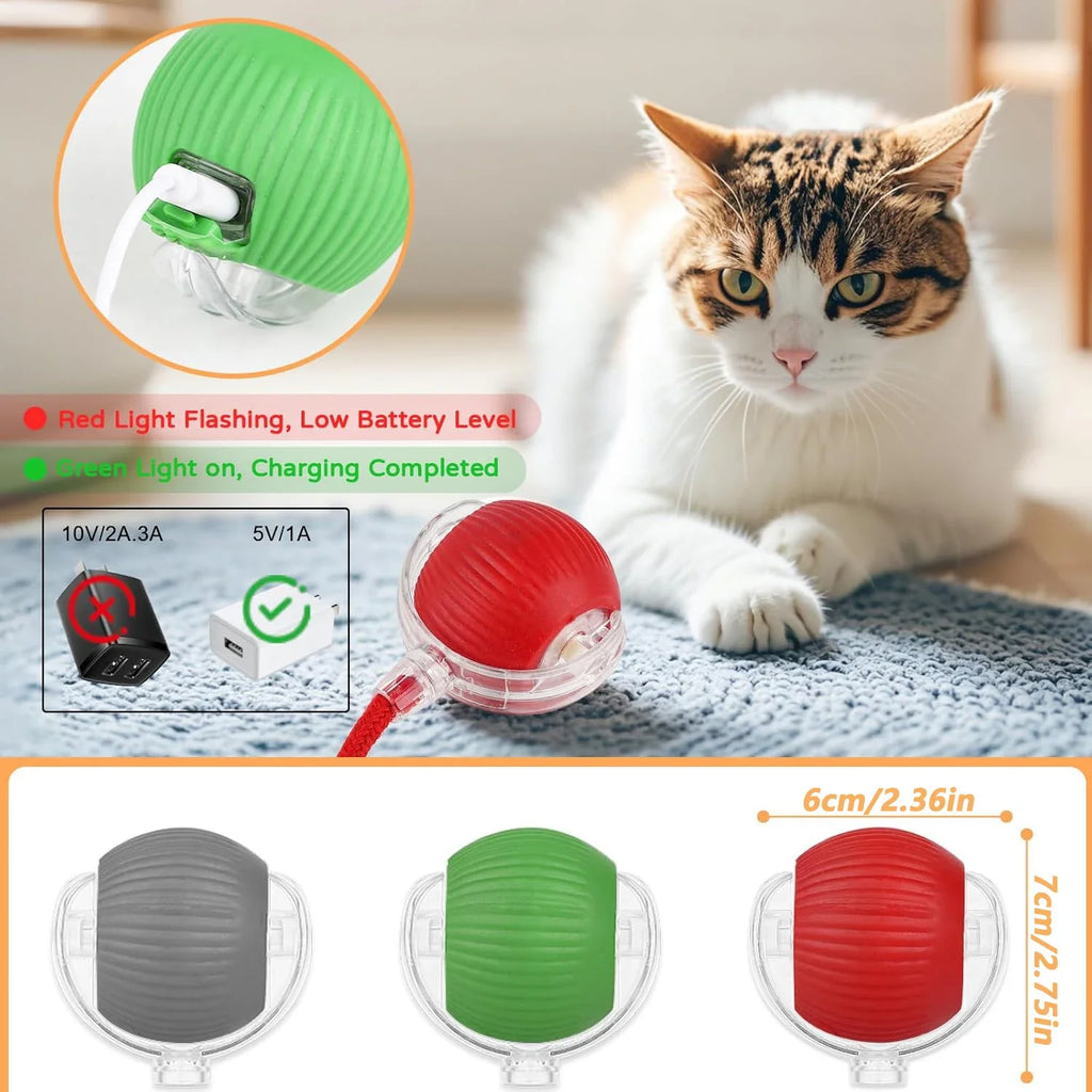 Jo Playful Pet Chase Toy
