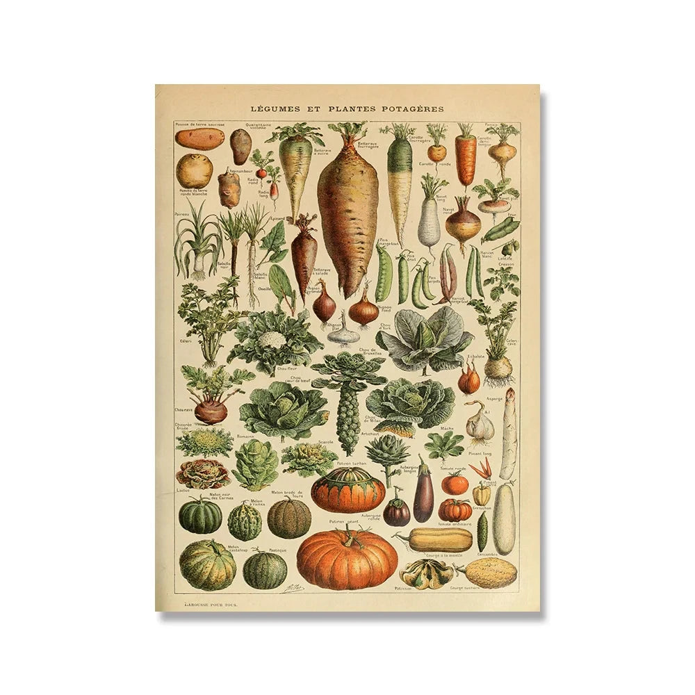 Jo Heritage Flora & Fauna
