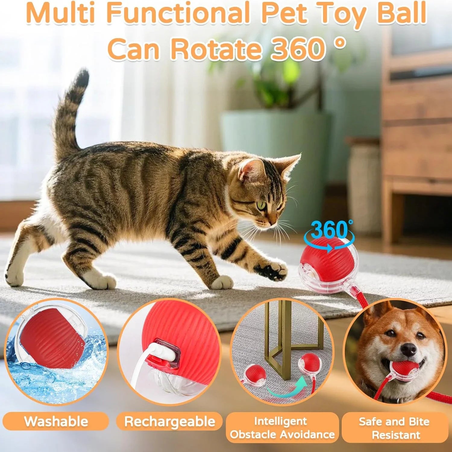 Jo Playful Pet Chase Toy
