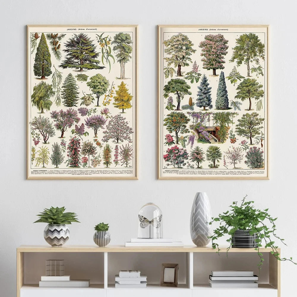 Jo Heritage Flora & Fauna