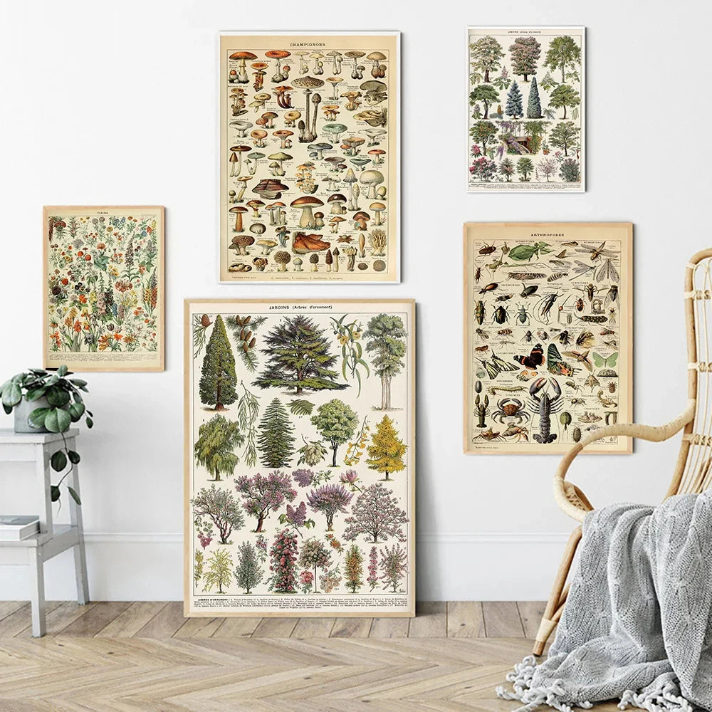 Jo Heritage Flora & Fauna