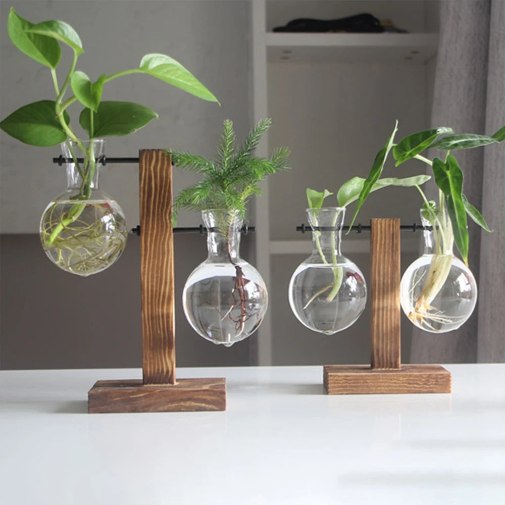 Jo Minimalist Glass Bulb Planter